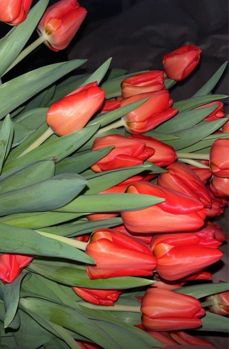 Оптом прямо от прдпринимателя низкая цена город Алматы