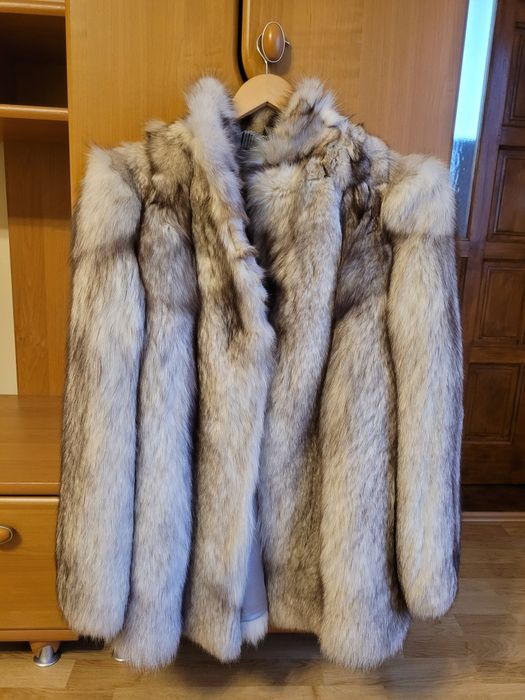 Haina blana vulpe argintie