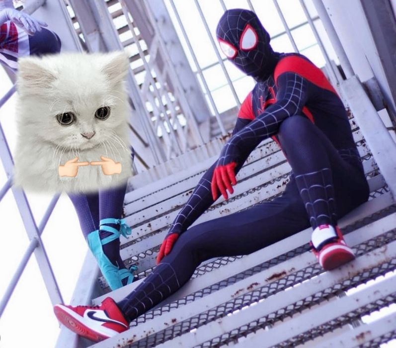 Miles Morales cosplay