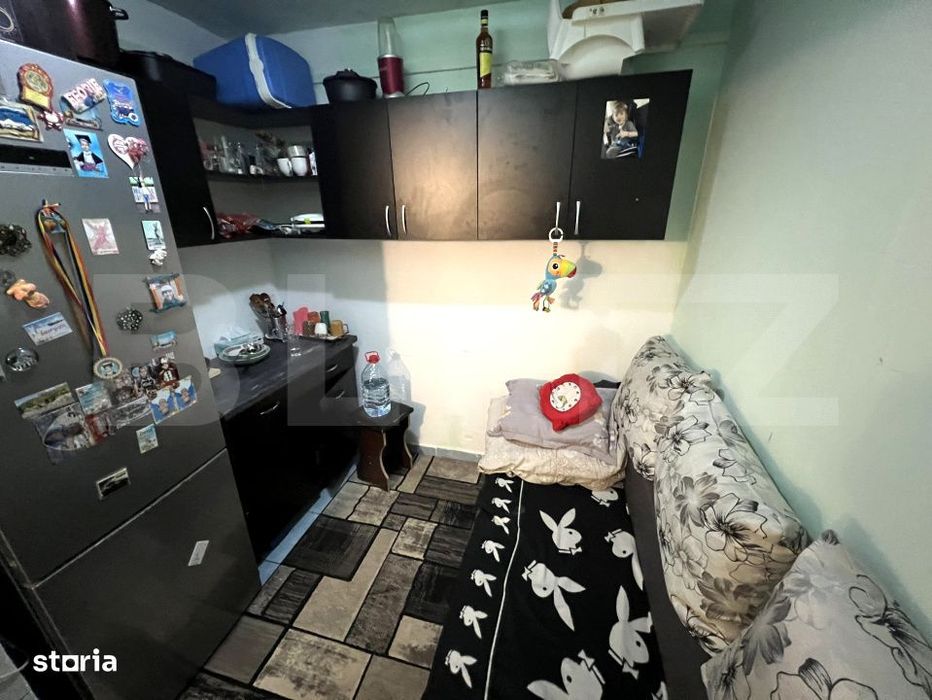 Camera de camin, 20.82 mp, zona Lapus