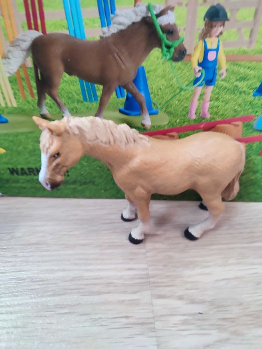 Caii schleich foarte bine îngrijit