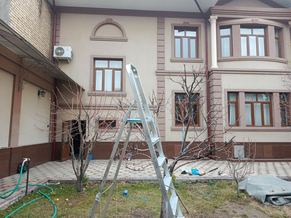 Toshkent shahri bo'ylab daraxt kesish va butalash xizmati