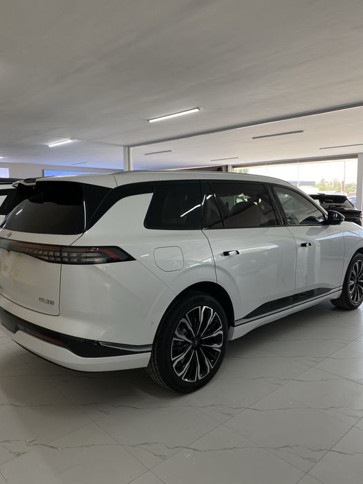 Dongfen 008