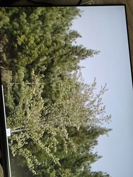 Матрица для моноблока 23.8" Full HD с уценкой