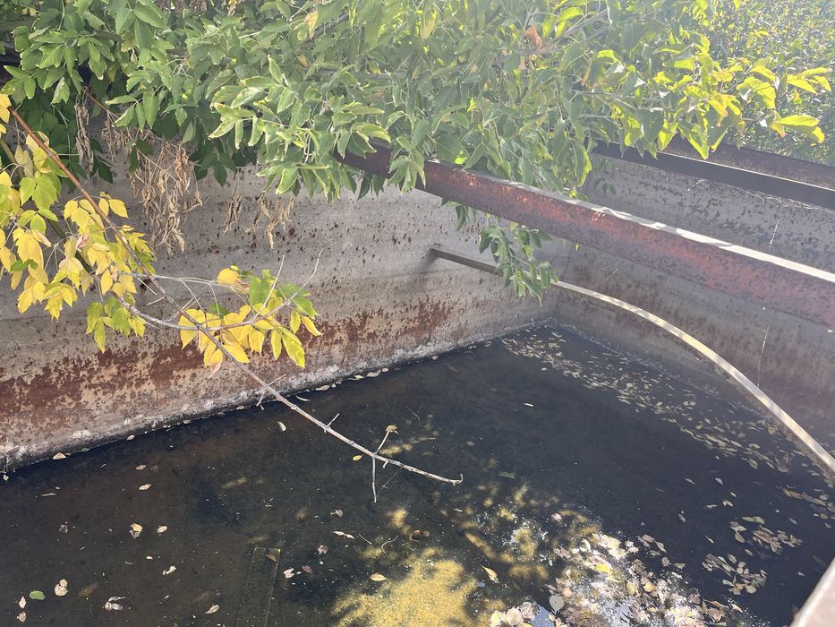 Большой чан для воды