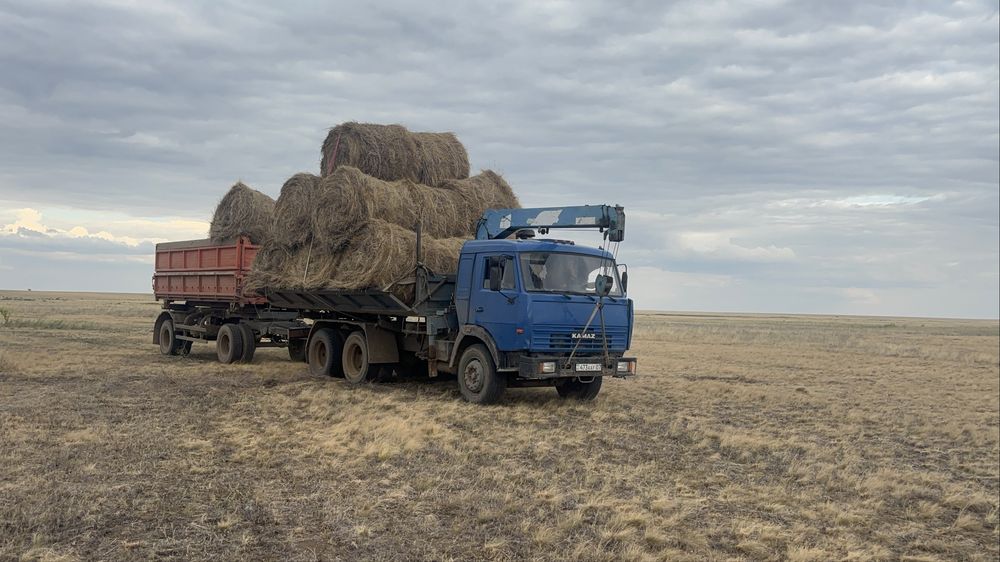 Услуги манипулятора