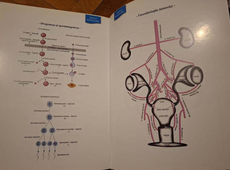 Materiale pentru admitere umfcd