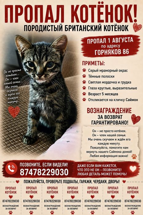 Пропал котёнок вознаграждение