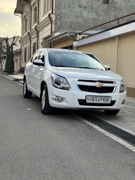 Cobalt 2026 MCM Aftanat