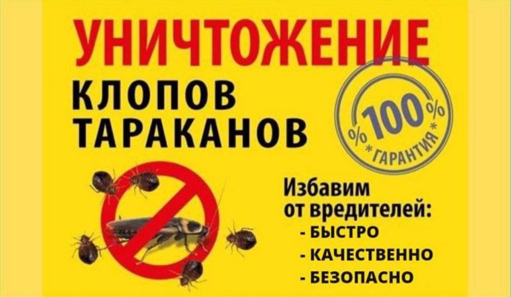 Дезенфекция дизенфекция дезинфекция дизинфекция dizinfeksiya