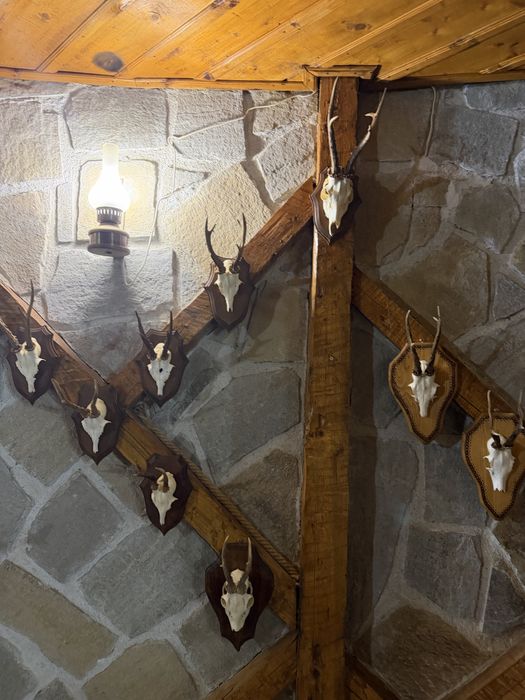 Трофеи от благороден елен