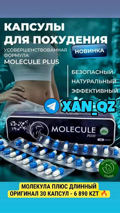 Оригинал Молекула Плюс инновационный органайзер