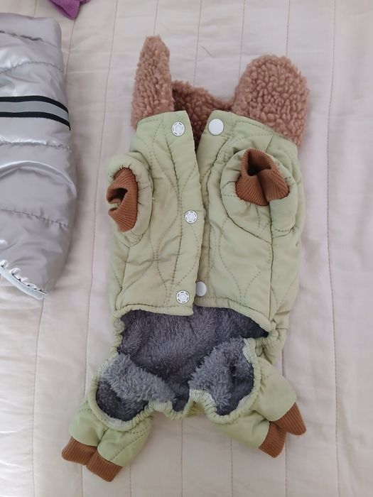 Одежда для собак мелкой породы