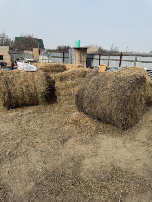 Продается дача на берегу Урала