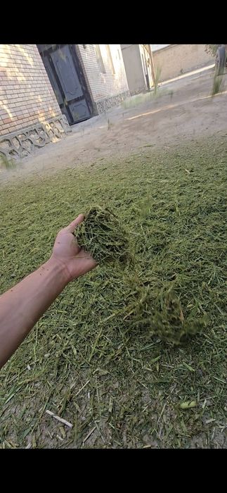 Oʻt maydalydigan deku sotiladi ishga tayor xolda