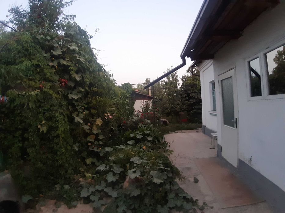 Срочно! Свой участок по ул. Олтинтепа. 6 сот. 37000 за сот. 222000 у/е