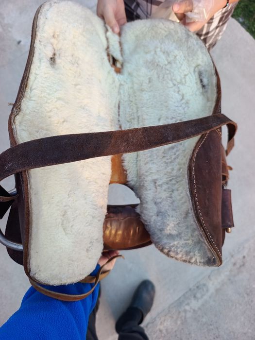 Calarie Sa din piele . Shea calarie