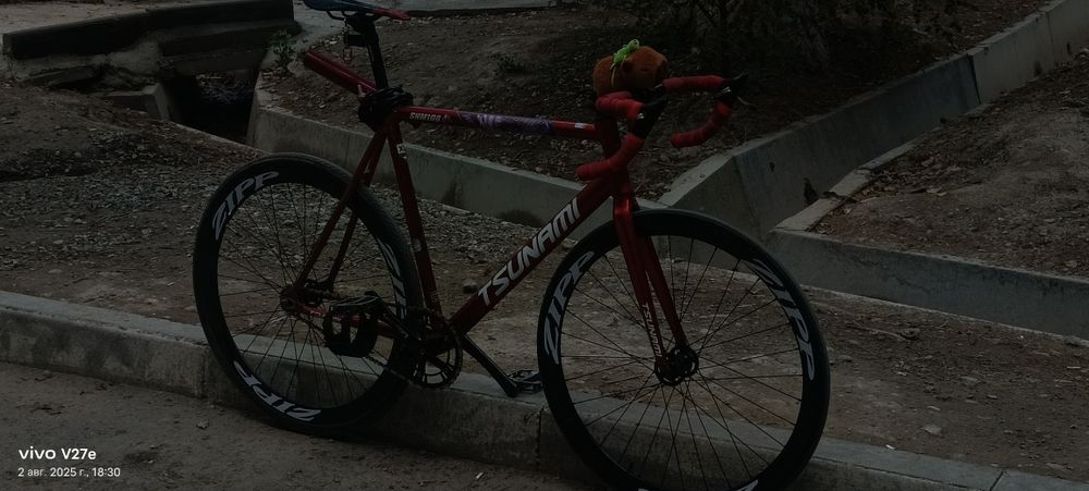 Фикс/Fixed gear tsunami snm100