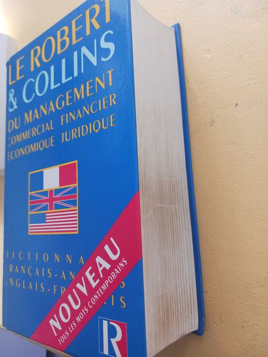 Dictionar francez englez management si juridic