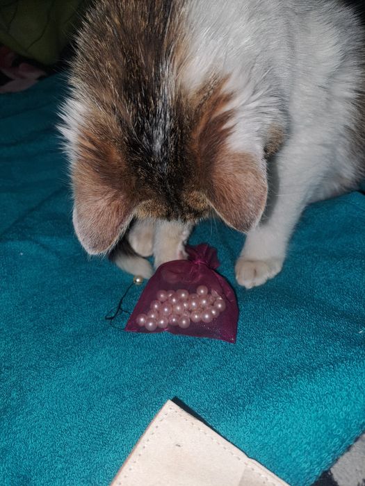 Perle de cultura 37 bucăți cu gaura f mica