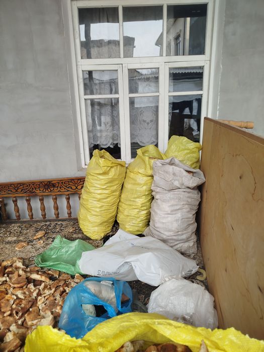 Qotgan non yopkanon bor qurtlga