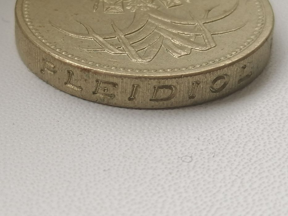 One Pound Elizabeth II 1990