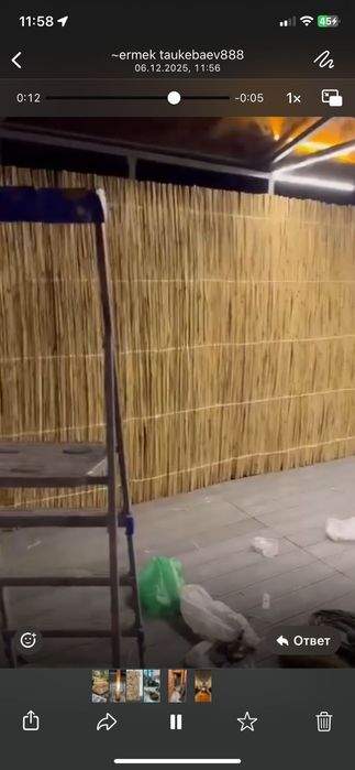 Декоративный камыш !!!