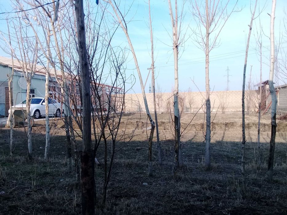 Ховли Дом 12 сотих с мебелю