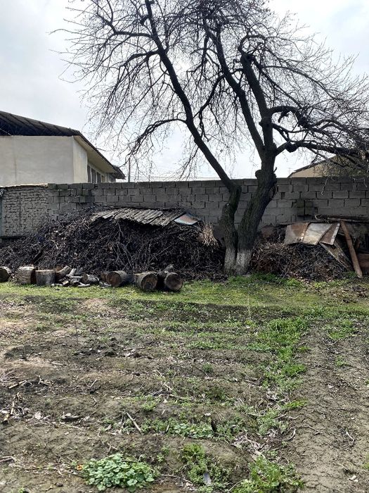 O’tin quruq bor 2 Traktor hajmiga teng Srochna sotiladiv