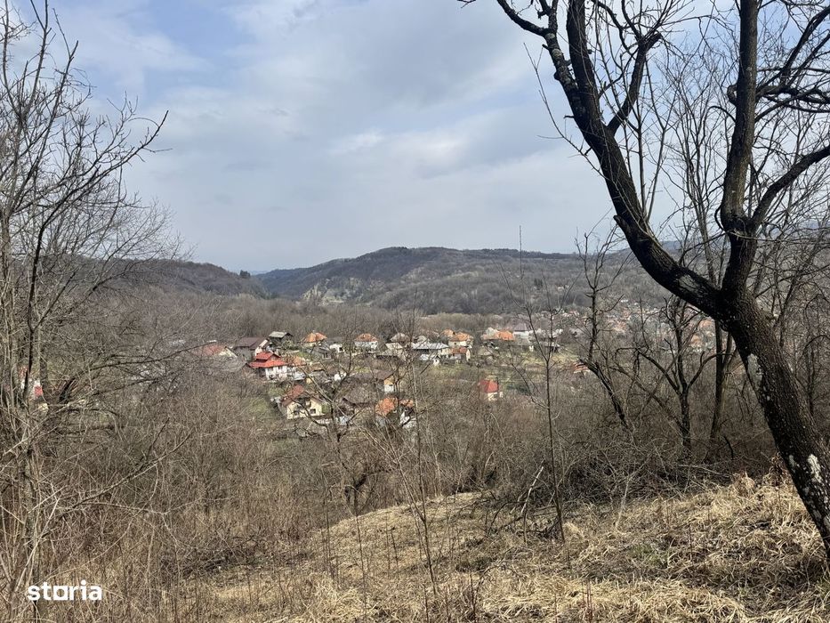 Ocazie! Teren 4830 mp la Godeni, aproape de Campulung Muscel