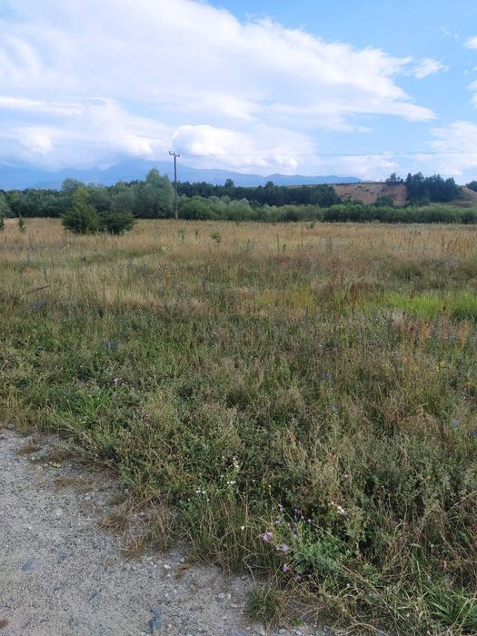 Vand teren extravilan pe Valea Avrigului