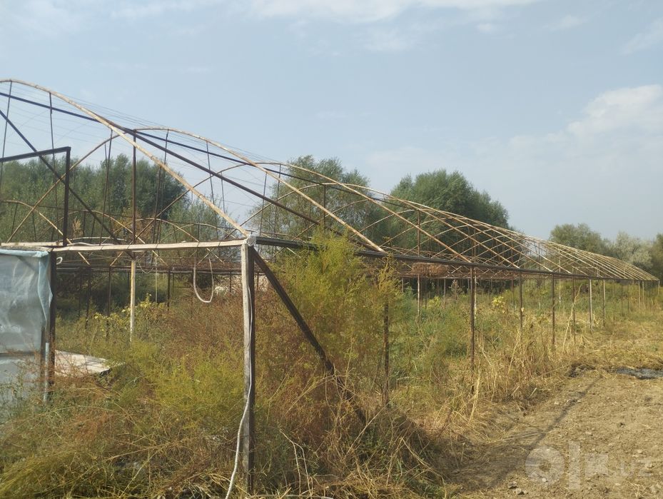 Teplitsa sotiladi