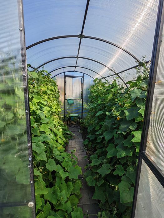 Продам красивую дачу