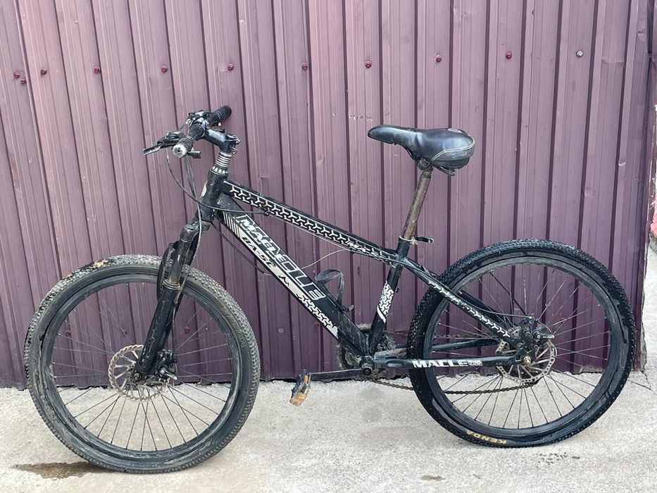 Велик шымкент қаласы