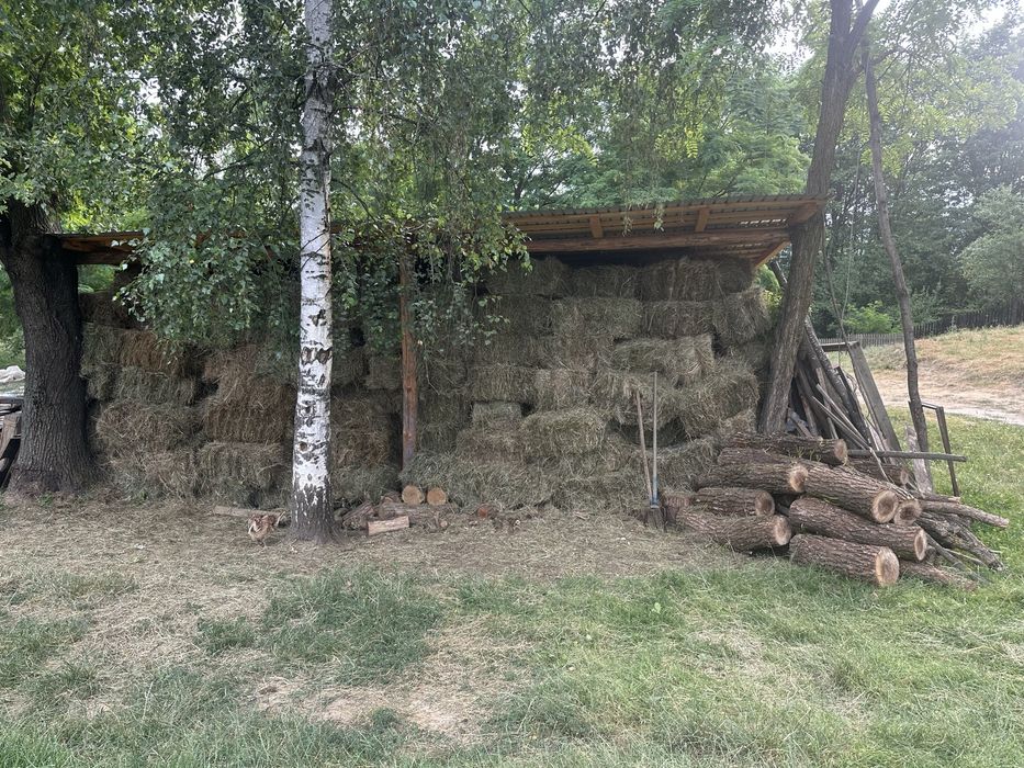 Vand baloti fân foarte bun