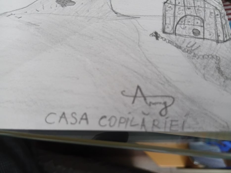 Desen de pus in ramă, editie limitata CASA COPILĂRIEI