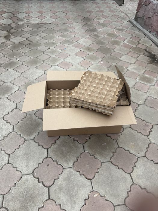 Кассеты для яйц.