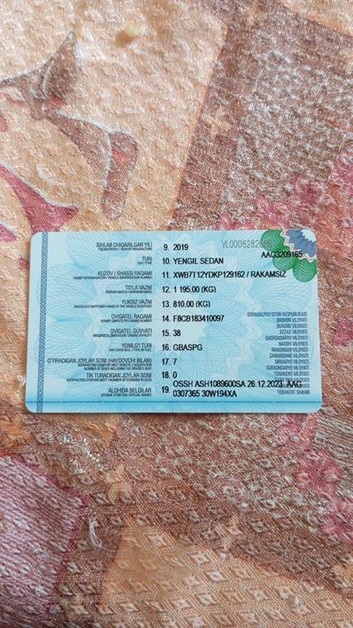 2019 yil chiqan xolati yaxshi