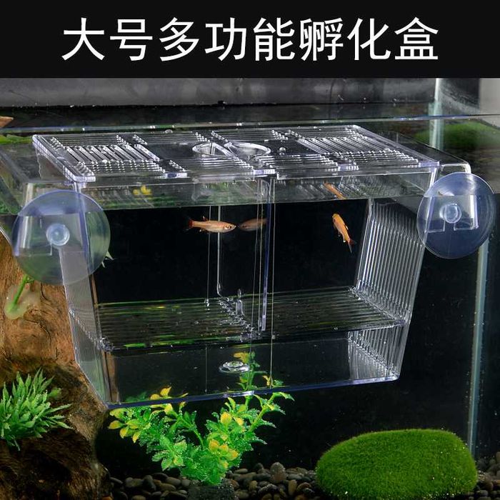 Отсадник для рыб, полностью из пластика