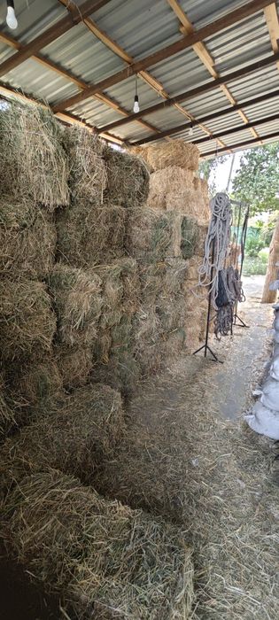 Солома, сено, клевер. Доя студии и декора. Для Эксклюзивных животных.