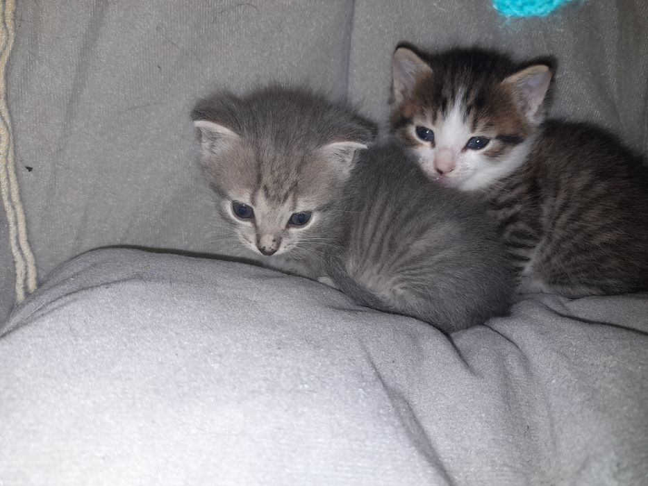 тегін порно kz megaline