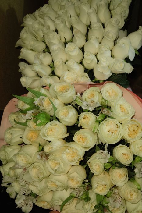 белые розы по 15к