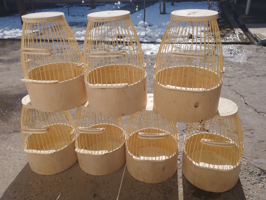 Italiya bedanaga qovoq bor sotiladi