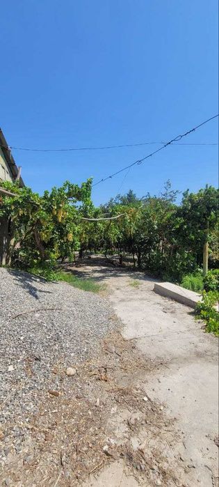 Эълон 22 сотхли ховли сотилади Куштепада