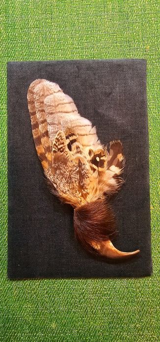 pană pălarie vânator ,broșă ..