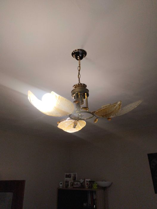 Полилей тройка за хол 2 броя