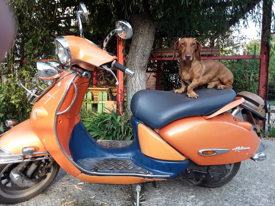 Scuter aprilia habana 50cm 50
