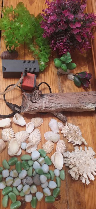 Для аквариума аксессуары.