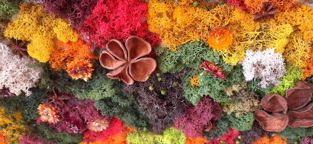 Декорация за дома - картинно есенно пано от естествени материали