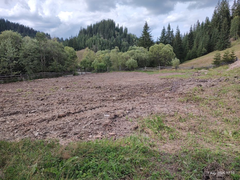 Vand doua  parcele la munte  in Bucovina